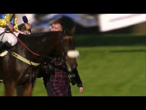 Dostihy Pardubice – živé vysílání