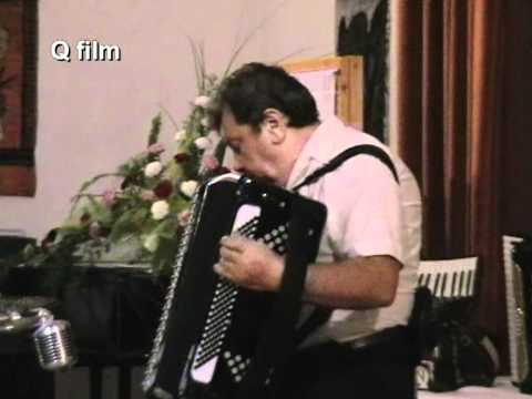 Mizsei Zoltán harmonika műsora / 2010