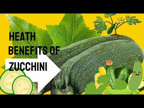 Discover the Incredible Health Benefits of Zucchini | Your Ultimate Guide