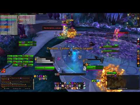 Imperfection vs High Botanist Tel'arn HC - Shadow priest pov