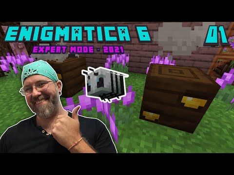 Lets Play Enigmatica 6 Expert EP 1 - Invar Bee! How to get Invar Dust for Induction Smelter!