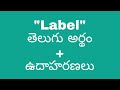 Label meaning in telugu with examples | Label తెలుగు లో అర్థం @meaningintelugu