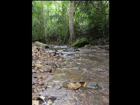 Quebrada Agua Fría, Agua de Dios Cundinamarca, afectación por el cambio climático.