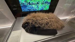 The grass coat / “Травяное” пальто