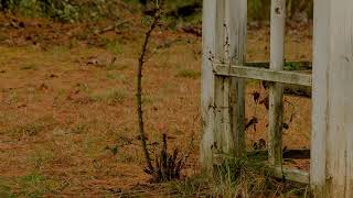 Cover art for eyesore