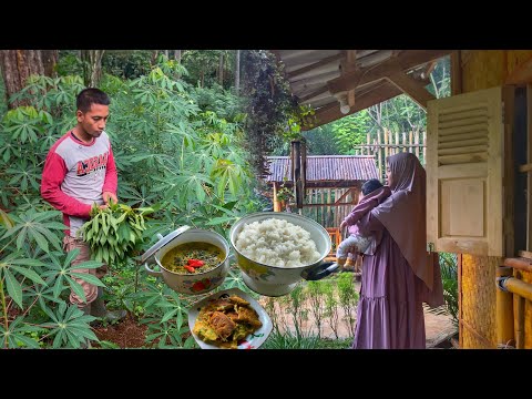 Einfache Dorfküche | Maniokblätter und Sintrong zum Kochen pflücken | Leben im Dorf