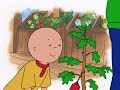 Caillou S09E06 All Around The Block