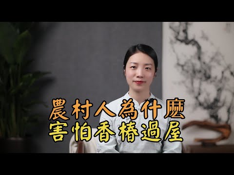 木椿意思