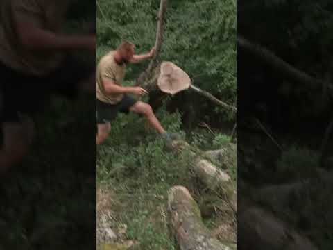 FiFqa takmer zabil strom! - FARMA