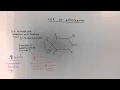 SAR of Barbiturates 