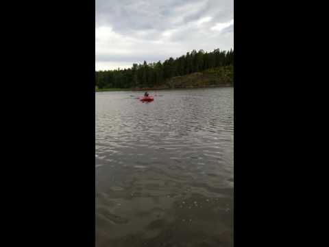 Roikin vepeharjoitus: veneen hinaaminen