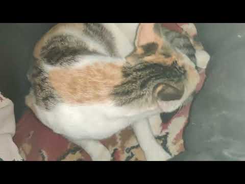 # delivery in my bedroom (2)