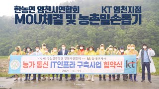 한농연 영천시연합회 KT MOU 체결 농촌일손돕기 마늘수확