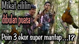 Download lagu Mikat Cililin's highest point dropped by 3 tails using only Mp3. mp3