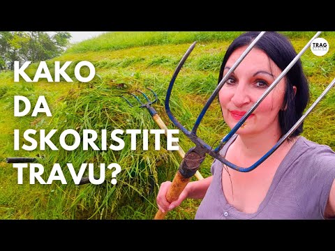 HOW TO USE THE HERB?