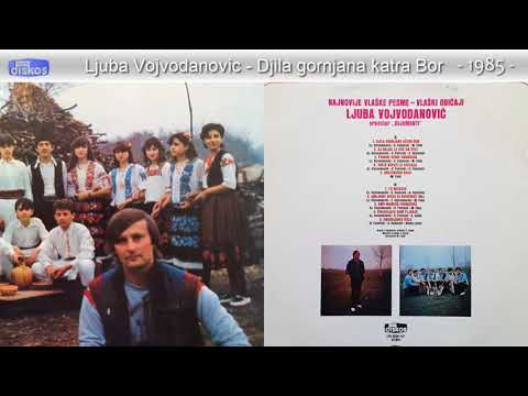 Ljuba Vojvodanovic - Djila gornjana katra Bor - (Audio 1985)