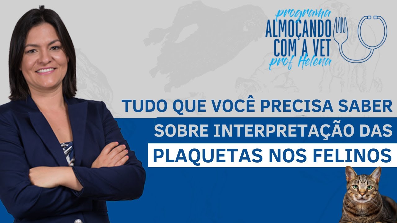 Tudo que você precisa saber sobre interpretação das plaquetas nos felinos