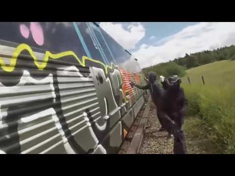 GRAFFITI BOMBING - GRAFFITI VIDEO - GRAFFITI TRAIN - GOPRO GRAFFITI