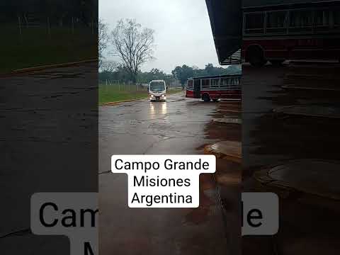 Invierno 2026 en Campo Grande Misiones Argentina #vida