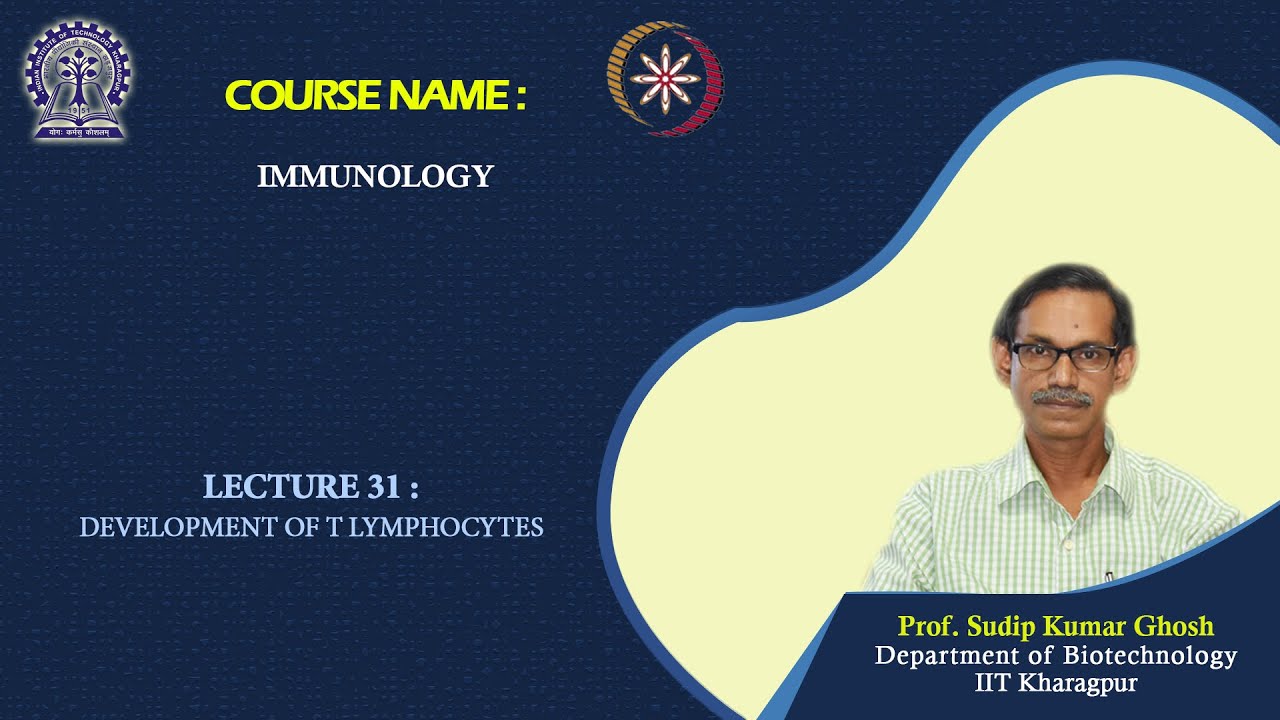 Lecture 31 : Development of T Lymphocytes