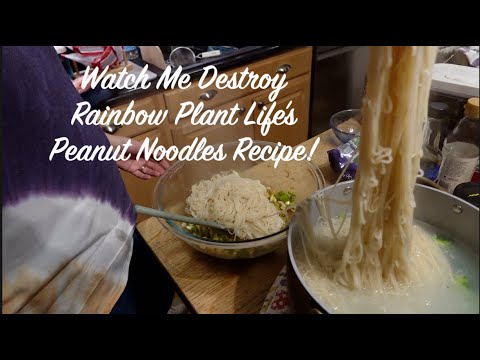 Watch Me Destroy @RainbowPlantLife Peanut Noodles Recipe!