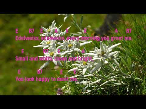 Edelweiss - Varios
