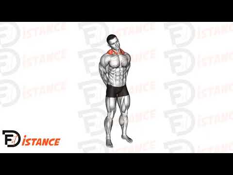 Exercice Flexions latérales du cou