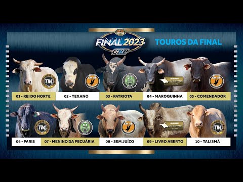 RODEIO AO VIVO - Final CRP 2023 / RINÓPOLIS - SP (S0RTEI0 / Round 4 - SEGUNDA)