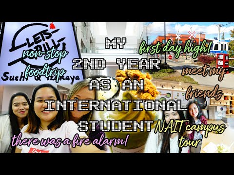 download lagu mp3 mp4 Nait Campus, download lagu Nait Campus gratis, unduh video klip Nait Campus