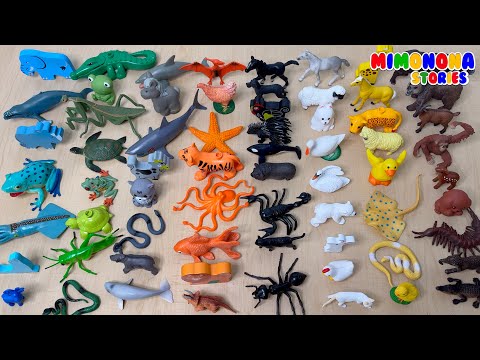 🌈 ¡Aprendiendo los Colores con Animales de Juguete! 🦁 Videos para Niños 🌟 Mimonona Stories