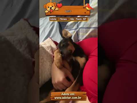 Vídeo de Jade