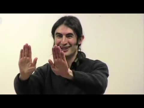 Come Generare FORZA DI GUARIGIONE - SALVATORE BRIZZI