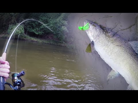 Michigan Salmon Fishing 2022: Casting Spinners and Floating Skein