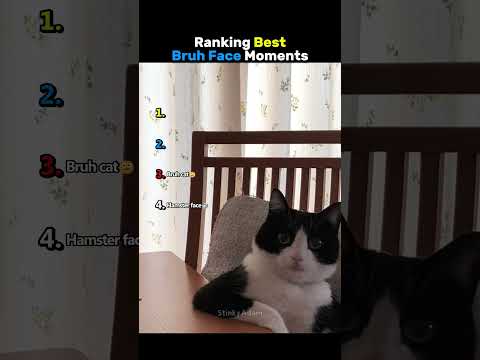 Ranking Best Bruh Face Moments