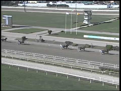 Trotto 02/11/2014 - 1° prova di qualifica