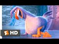 The Angry Birds Movie 2 2019 Dance Off Scene 7 10 Movieclips