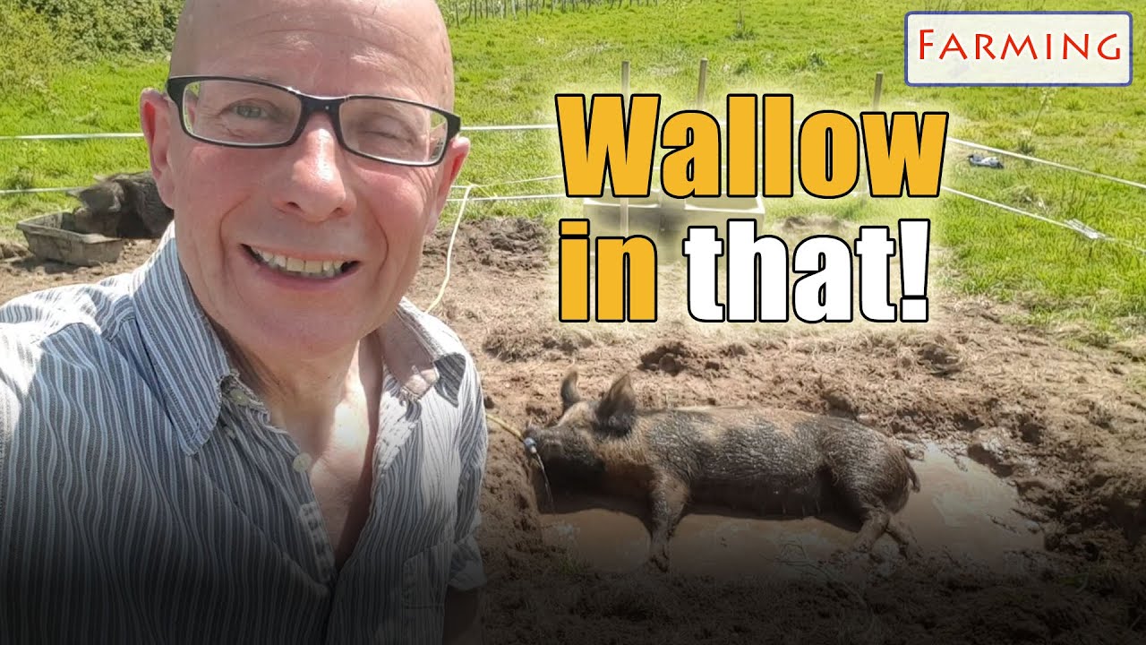 On the farm, digging an 'ole ...