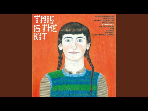 Nits - This Is The Kit