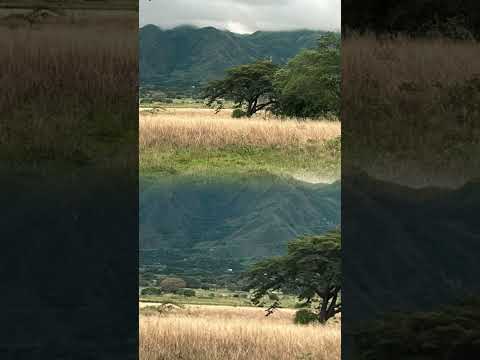 Los valles del tucutunemo Aragua Venezuela