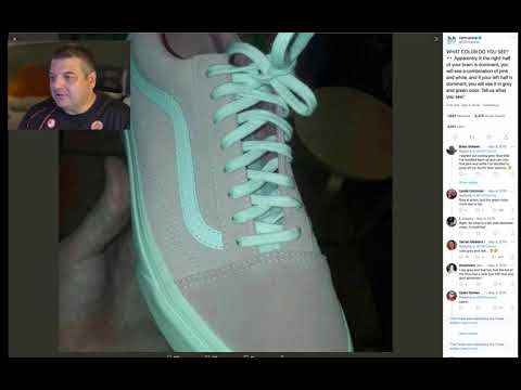 Is The Shoe Pink and White or Grey and Green ? - Optical Illusion