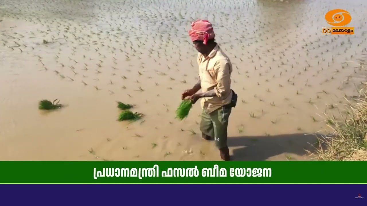 പ്രധാനമന്ത്രി ഫസൽ ഭീമ യോജനയിൽ ചേരാനൊരുങ്ങി പാലക്കാ