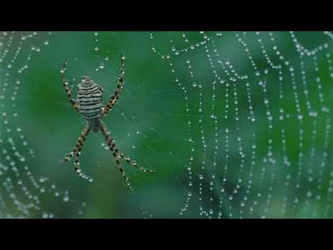 Matt Champion - Steel (feat. Dora Jar)