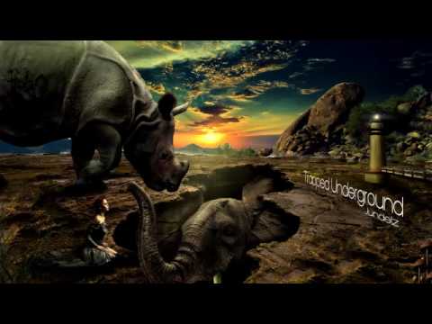 Ninja Kore - Stay Out