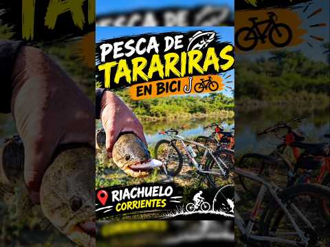 PESCA DE TARARIRAS EN BICI 🎣🚴♻️🇦🇷 RIACHUELO CORRIENTES #pesca #tarus #riachuelo #paisajes