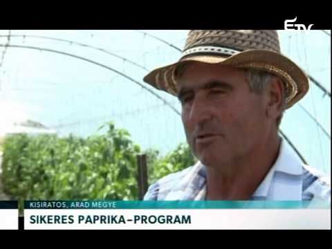 , title : 'Sikeres paprika-program – Erdélyi Magyar Televízió'