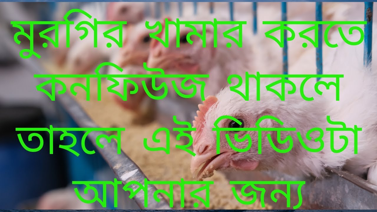 কৃষি বাংলা 'অবশ্যই অবশ্যই রুলস গুলো মেনটেইন করবেন