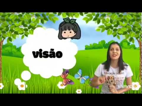 Os cinco sentidos visão