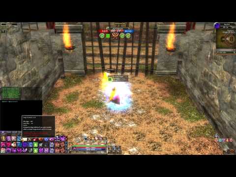 Dekaron: ExoLeet Archives, Br 2v2 Comentary