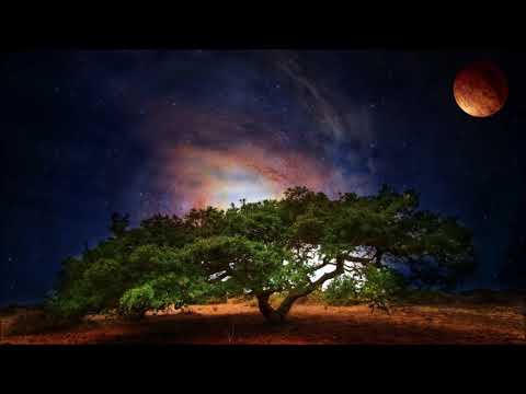 Happy Deny – When It Is Not There