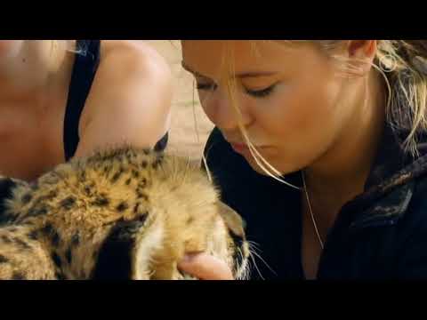 33 - Harnas - Abenteuer Afrika